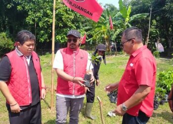 Penghijauan Nasional , PDI Perjuangan Karawang Tanam 1500 Pohon