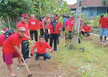 Meriahkan HUT Ke 50 Partai, DPC PDI Perjuangan Kota Banjar Lakukan Giat Penanaman Pohon, Pembersihan Sungai dan Pembagian Sembako