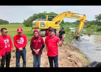 Menjaga Ketahanan Pangan DPC PDI Perjuangan Menanam Pohon dan Membersikan Daerah Aliran Sungai