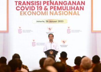 Presiden Apresiasi Kerja Keras Jajaran Tangani Pandemi