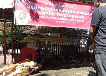 Momentum Idul Adha, PDI Perjuangan Jabar Salurkan 14 Ekor Sapi