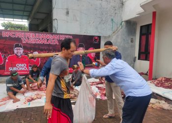 Gotong Royong di Hari Raya Idul Adha, DPC PDI Perjuangan Kota Tasikmalaya Kurban 3 Ekor Sapi