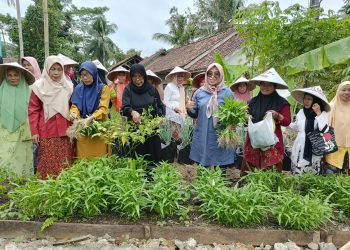 DPRD Jabar Ijah Hartini Dorong Pemerintah Beri Perhatian pada Kelompok Wanita Tani