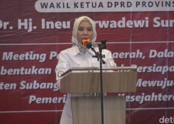 Ineu Purwadewi Sampaikan Progres CDPOB Kabupaten Subang Utara