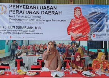 Hj Elin Suharliah Lakukan Penyebarluasan Perda Tentang Pemberdayaan dan Perlindungan Perempuan