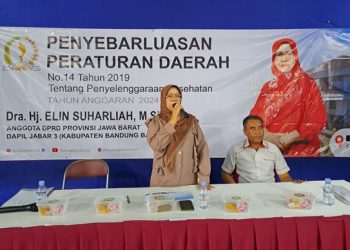 DPRD Jabar Hj Elin Suharliah Sampaikan Peranan Pemerintah Terhadap Kesehatan