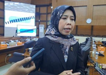 Hari Disabilitas, DPRD Jabar Ineu Purwadewi Sundari Ajak Semua Pihak Tingkatkan Ruang Partisipasi untuk Kaum Difabel