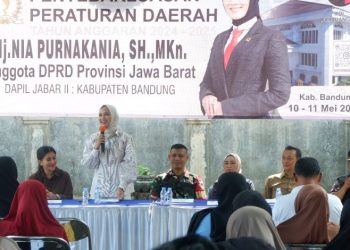 DPRD Jabar Nia Purnakania Ajak Seluruh Pihak Gotong Royong Wujudkan Pengembangan Ekonomi Kreatif